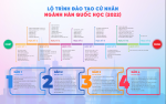 LỘ TRÌNH ĐÀO TẠO CỬ NHÂN NGÀNH HÀN QUỐC HỌC