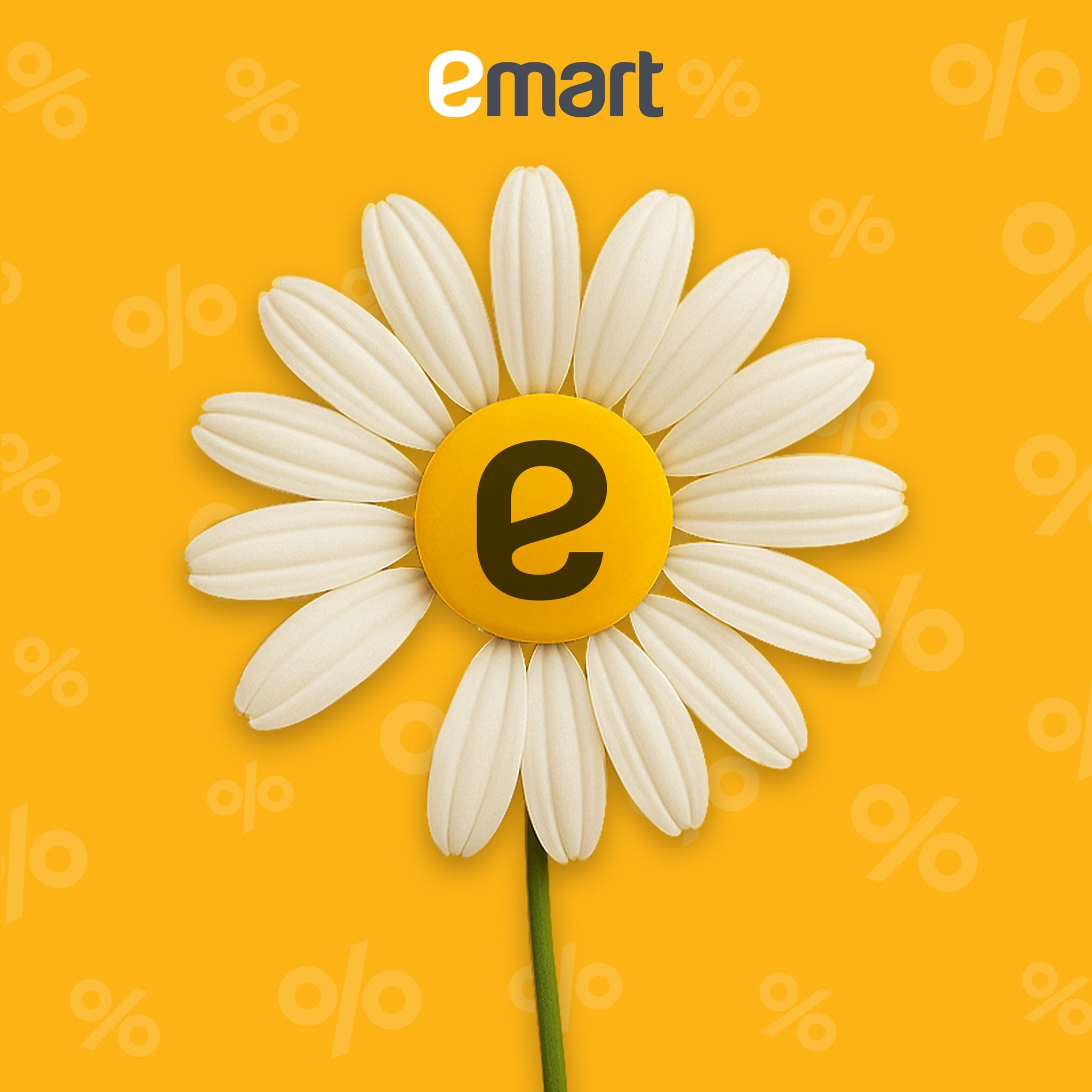 508742143 122118756098868357 2291190003049607799 n